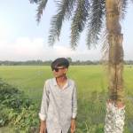 MD HAMJA Profile Picture