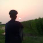 Md Rokibul Profile Picture
