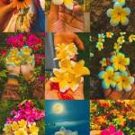 Highlight : 5791 Profile Picture