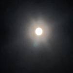 Shaon Hasan Profile Picture