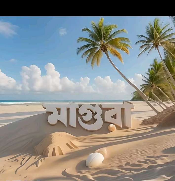 Md Piash Profile Picture