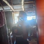 ALIF Ahmed Profile Picture