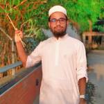 Hafez Sefatulla profile picture