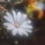 Madav Love Profile Picture