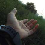 Mehrab Profile Picture