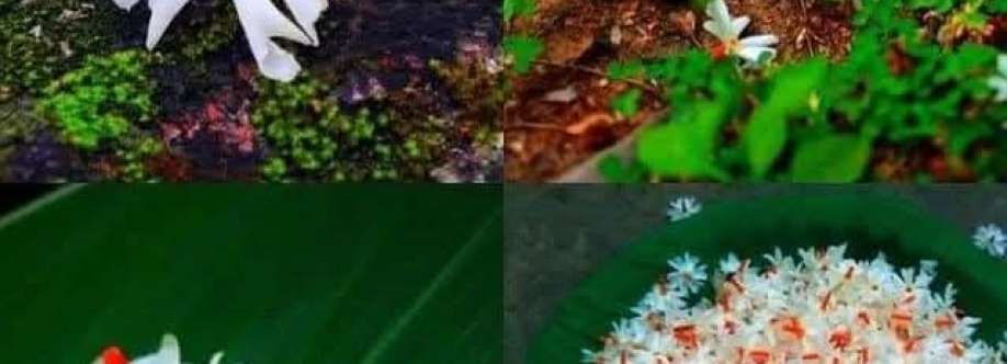 Highlight : 5791 Cover Image