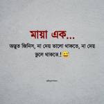 ajijul Islam Profile Picture