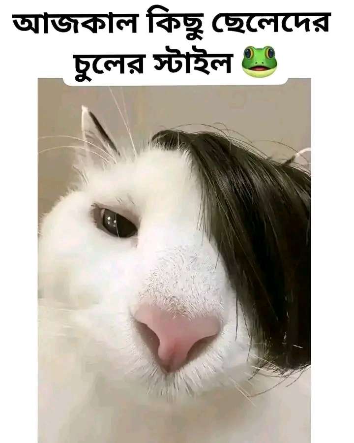 Masum billah Profile Picture